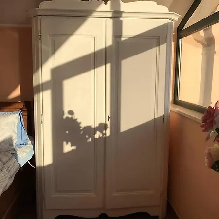 Domus Rosa