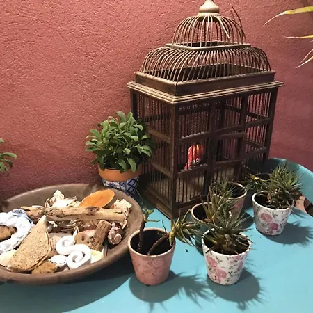 Domus Rosa *